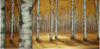 Birches Ablaze - E-Packet - Wendy Fahey