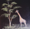 Baby Giraffe - E-Packet - Karen Hubbard