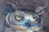 Hooty Who.. Owl Stepping Stone - E-Packet - Janice Miller