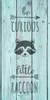 Be Curious Little Raccoon - Tall Woodland - Word Art Stencil - 13" x 26" - STCL1762_5 - by StudioR12