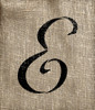 Graceful Monogram Stencil - E - 5" - STCL1905_2 - by StudioR12