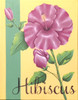 Hibiscus - E-Packet - Lonna Lamb