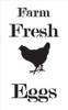 Farm Fresh Eggs - Chicken - Serif - Word Art Stencil - 8" x 13" - STCL2057_1 - by StudioR12