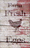 Farm Fresh Eggs - Chicken - Serif - Word Art Stencil - 12" x 20" - STCL2057_3 - by StudioR12