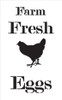Farm Fresh Eggs - Chicken - Serif - Word Art Stencil - 17" x 30" - STCL2057_5 - by StudioR12