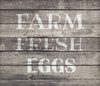 Farm Fresh Eggs Word Stencil by StudioR12 - Fun Country Word Art - 20" x 18" - STCL2184_5