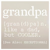 Definition of Grandpa Like A Grandpa But Cooler Stencil by StudioR12 | Wood Signs | Word Art Reusable | Painting Chalk Mixed Media Multi-Media | Use for Journaling DIY Home Choose Size