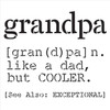 Definition of Grandpa Like A Grandpa But Cooler Stencil by StudioR12 | Wood Signs | Word Art Reusable | Painting Chalk Mixed Media Multi-Media | Use for Journaling DIY Home Choose Size