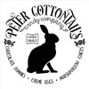 Peter Cottontail's Candy Company Stencil with Rabbit by StudioR12 | DIY Spring Easter Candy Home Decor | Craft & Paint Farmhouse Wood Signs | Reusable Mylar Template | Select Size