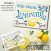 Fresh Squeezed Lemonade Stencil with Lemons by StudioR12 | DIY Spring & Summer Kitchen Home Decor | 25 Cents | Paint Farmhouse Wood Signs | Reusable Mylar Template | Select Size