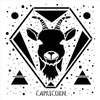 Capricorn Astrological Stencil by StudioR12 | DIY Star Sign Celestial Bedroom & Home Decor | Paint Zodiac Wood Signs | Select Size