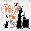 Master Witch Stencil by StudioR12 | DIY Autumn Halloween Spiderweb Home Decor | Craft & Paint Fall Wood Sign | Reusable Mylar Template | Select Size