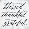 Wonderfully Blessed - Thankful Stencil by StudioR12 | DIY Thanksgiving Home Decor | Craft & Paint Wood Sign | Reusable Mylar Template | Select Size