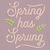 Spring Has Sprung Stencil by StudioR12 | Craft DIY Spring Home Decor | Paint Wood Sign | Reusable Mylar Template | Select Size