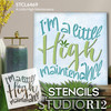 I'm a Little High Maintenance Pot Leaf Stencil for Painting by StudioR12 | Marijuana Mary Jane | Paint Craft DIY Weed Bedroom Decor | Select Size