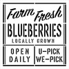 Farm Fresh Blueberries Stencil by StudioR12 | Farmer's Market | Craft DIY Rustic Farmhouse Kitchen Decor | Paint Wood Sign or Fabric | Select Size