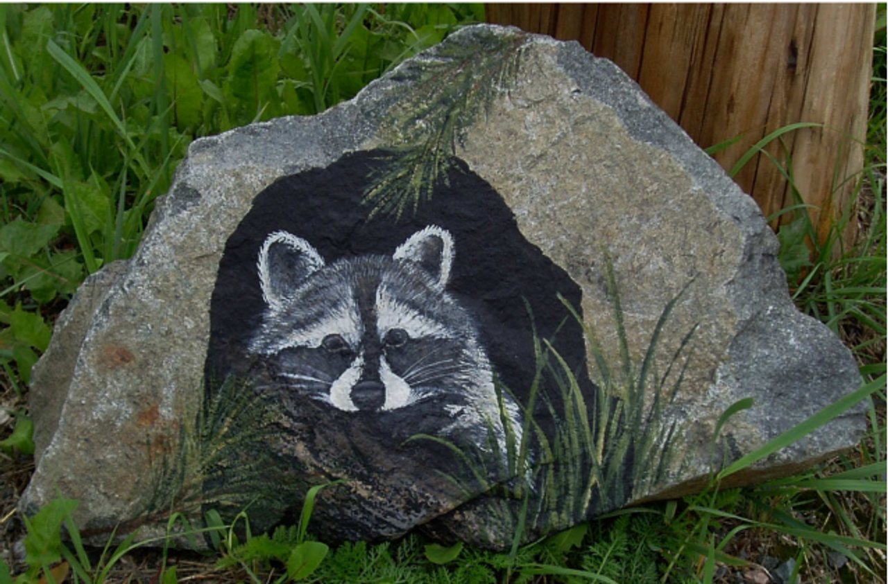 Raccoon Rock - E-Packet - Wendy Fahey