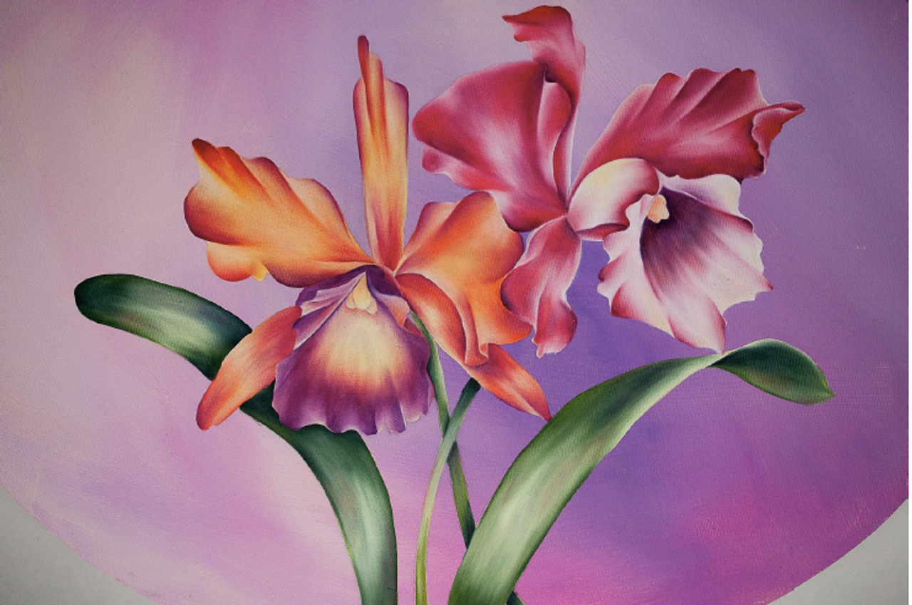 Orchids - E-Packet - Debra Welty