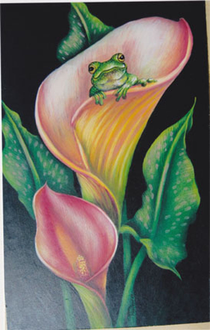 Frog & Calla Lilies - E-Packet - Karen Hubbard