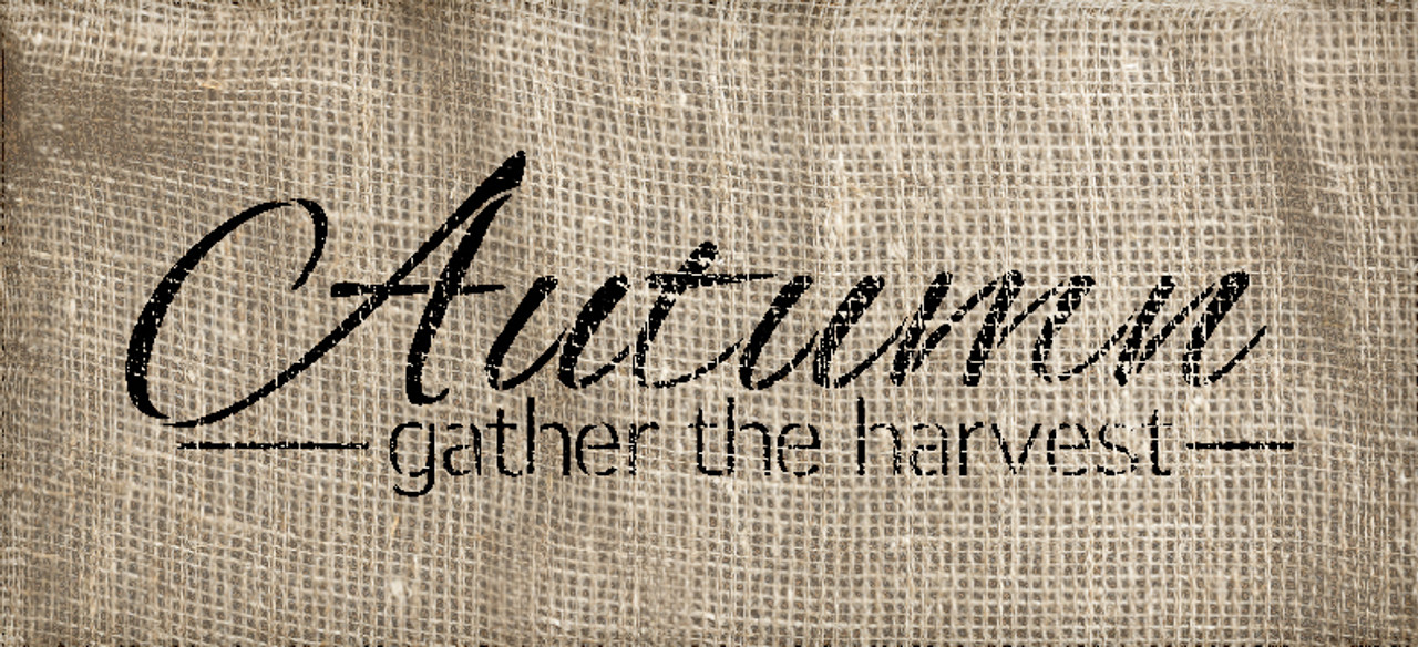 Autumn Stencil - Gather the Harvest by StudioR12 -  Fall Word Art - 17" x 7" - STCL2185_3