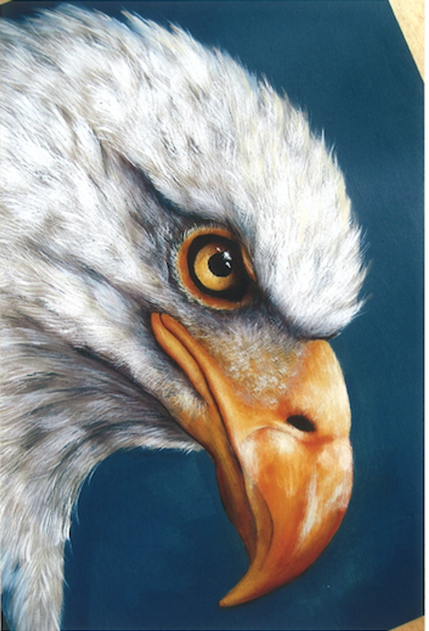 Bald Eagle Portrait - E-Packet - Karen Hubbard