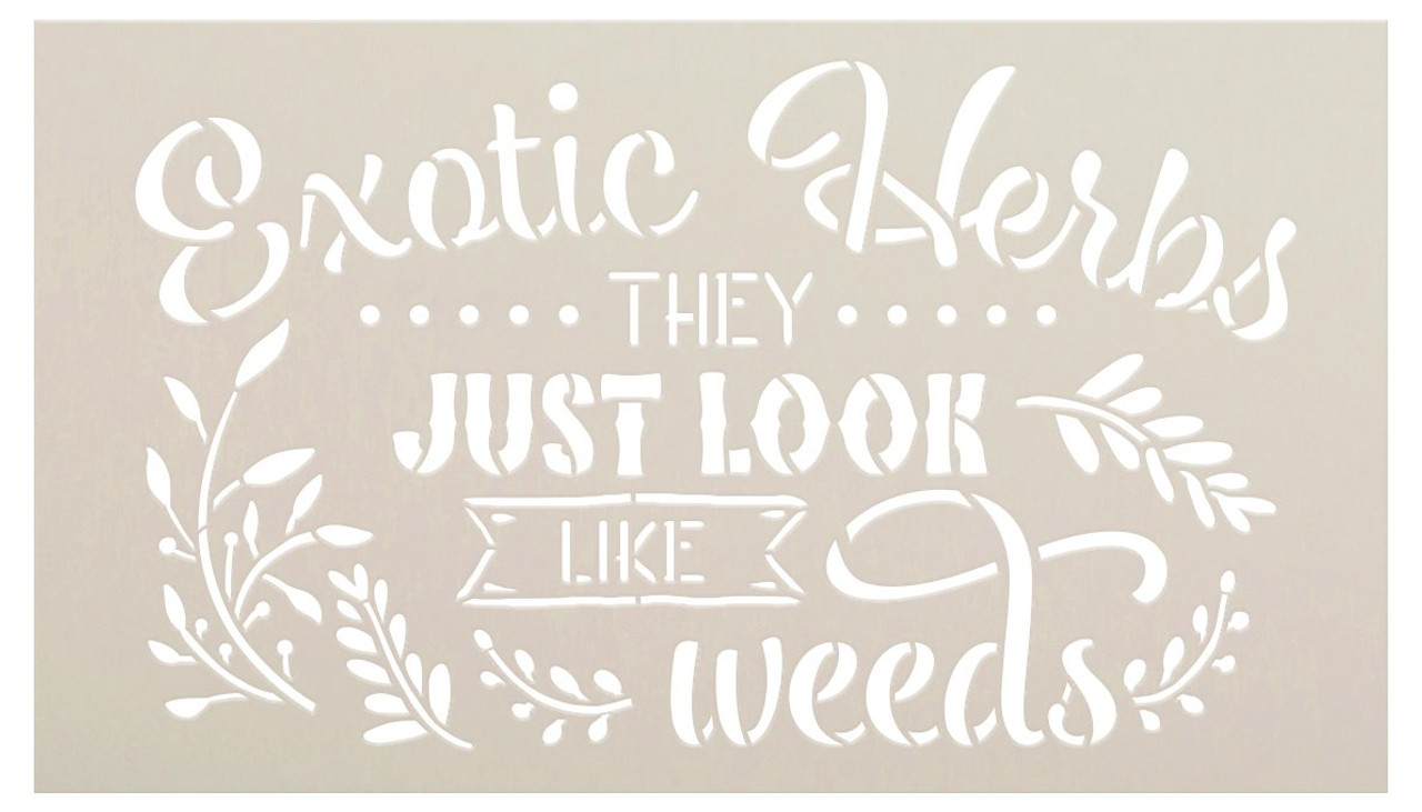 Exotic Herbs - Look Just Like Weeds Stencil by StudioR12 | DIY Fun Garden Quote Home Decor | Craft & Paint Wood Signs | Select Size
