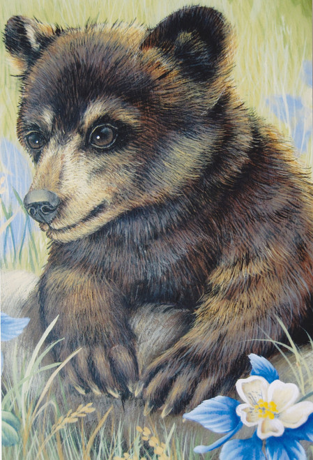 Black Bear Cub & Columbine - E-Packet - Karen Hubbard