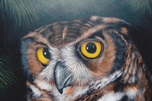 Great Horned Owl - E-Packet - Karen Hubbard