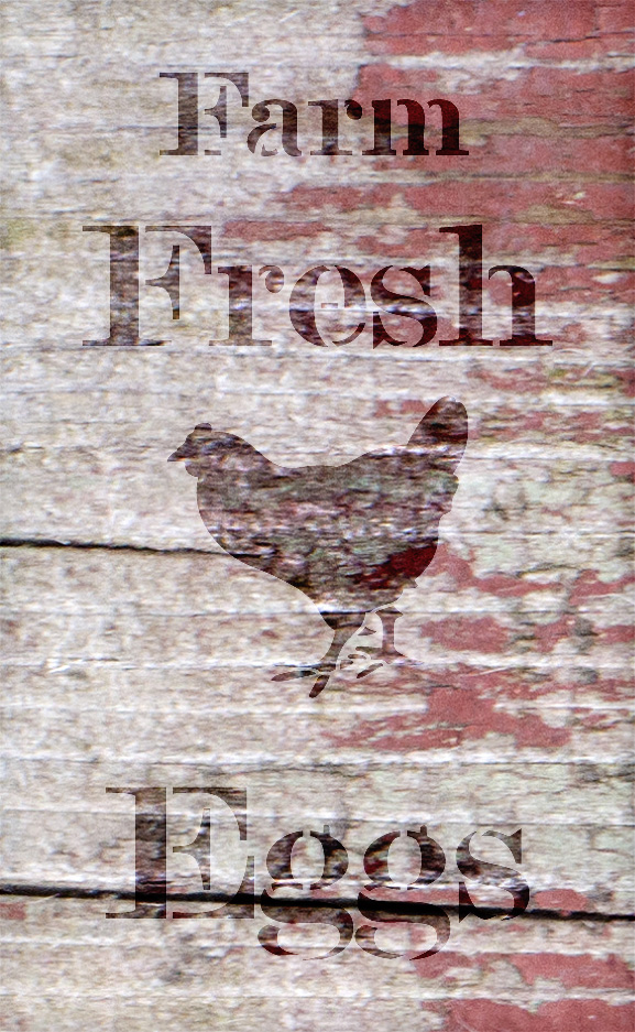 Farm Fresh Eggs - Chicken - Serif - Word Art Stencil - 14" x 24" - STCL2057_4 - by StudioR12