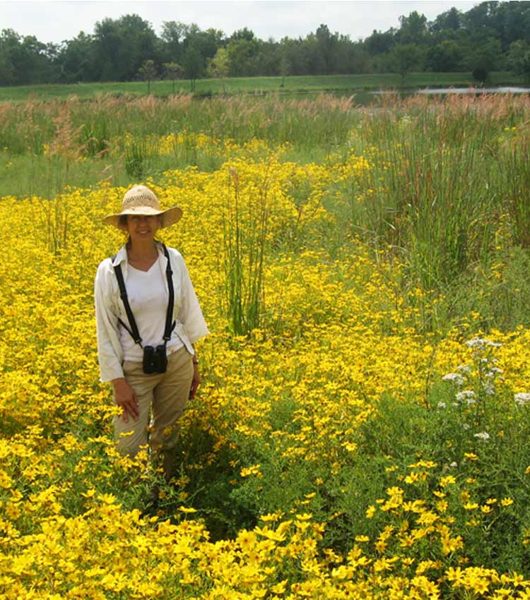 Susan Lordi in a field of yellow wild flowers