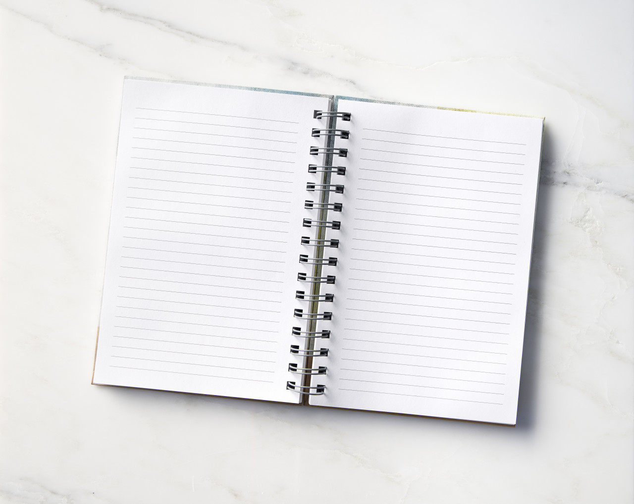 Music Speaks Notebook thumbnail