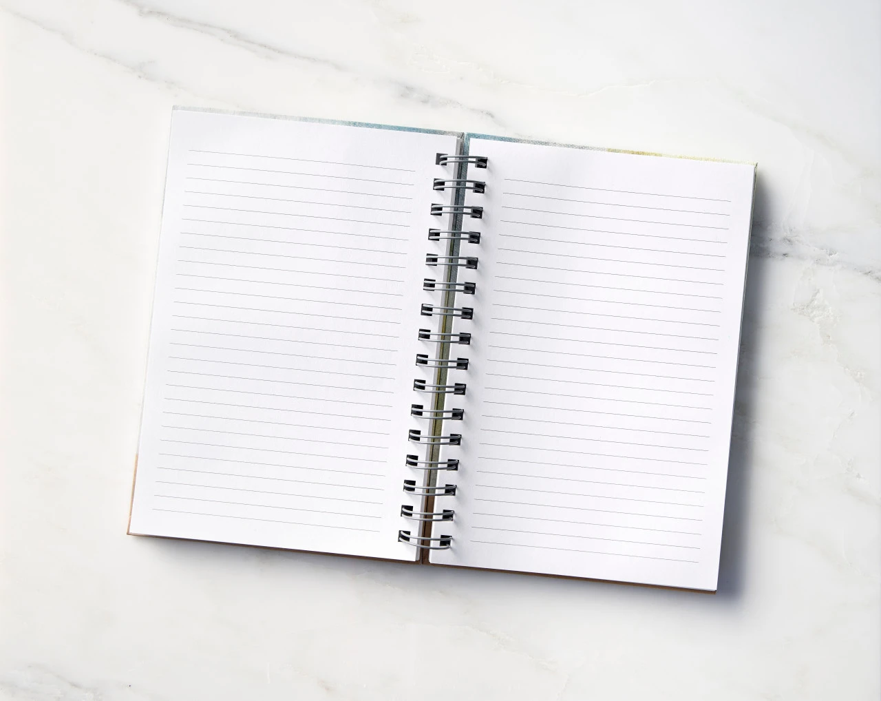 Music Speaks Notebook thumbnail