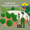 Farm of Your Choice - Ecuador
