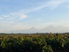 Hacienda la Esperanza - Guatemala
