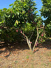 FINCA LA SEMILLA