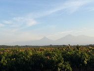 Hacienda la Esperanza - Guatemala