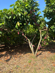 FINCA LA SEMILLA