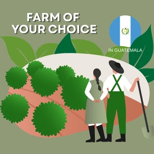 Farm of your Choice - Guatemala