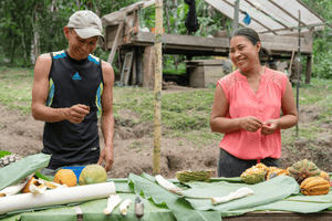 Canopy Bridge - Ecodecision