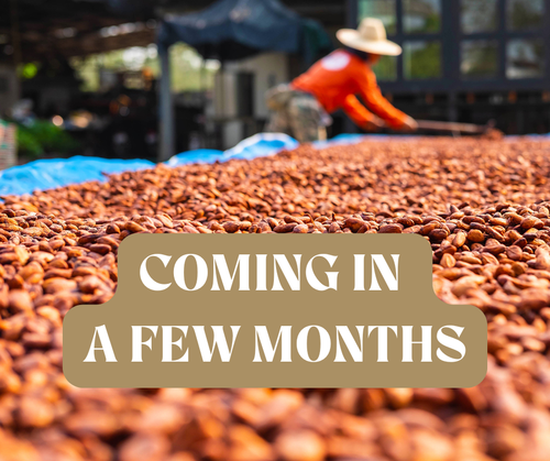 Cacao Indonesia : 46