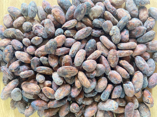 Andani Agroecological Cocoa : 40