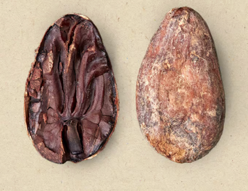 La Comuna Cacao Beans : 54