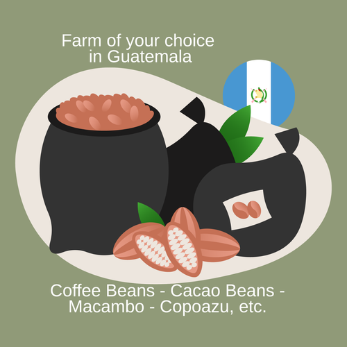 Green Coffe, Cacao, Cocpazu, Macambo, etc. : 57