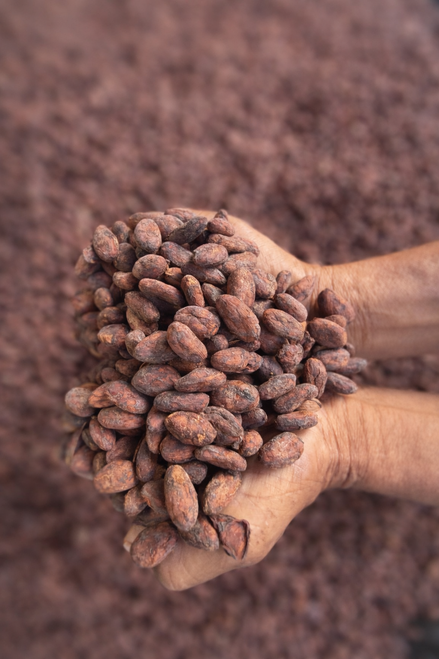 Cacao Esperanza : 58