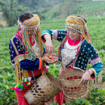 Farmer from Honduras