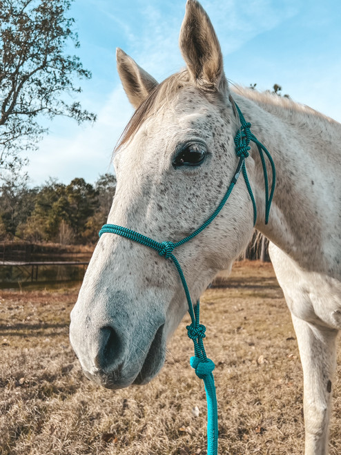 Halter Set /without clip