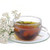 Organic Elderflower ~Certified Organic~ Organic Elderflower ~Certified Organic~
