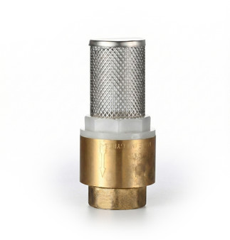 Brass Valve Mesh Check Valve, Valve Female