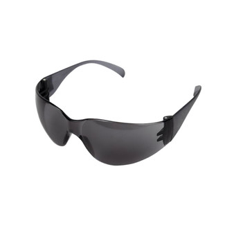 Virtua Protective Eyewear