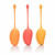 Kegel Training Set Mango Adult Novelties CalExotics